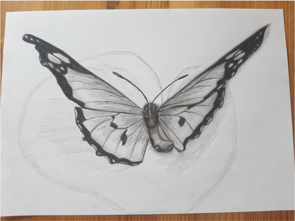 So erreichst du mehr Tiefe beim Schmetterling zeichnen.