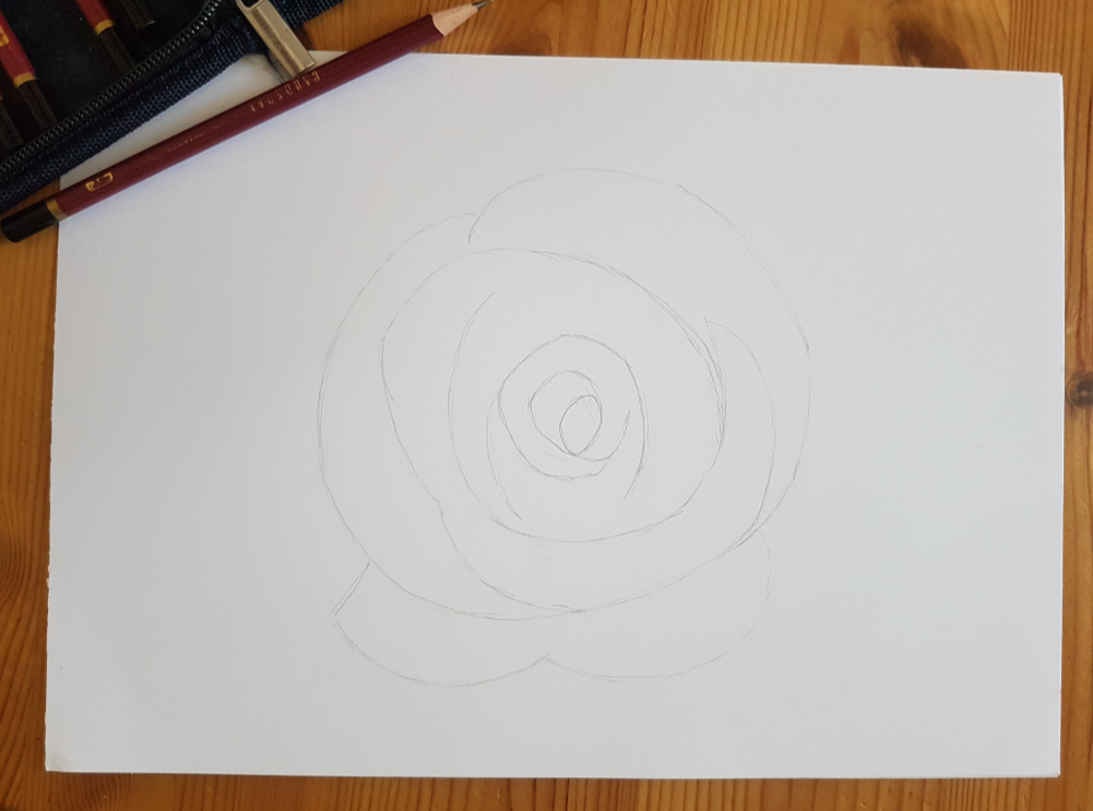 Eine Rose zeichnen ganz einfach