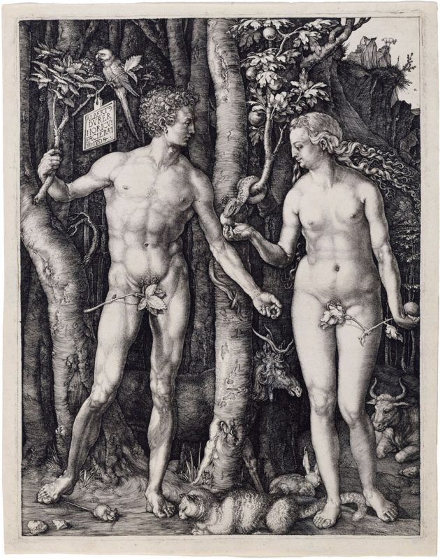Albrecht Dürer Adam und Eva