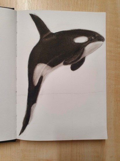 Wal zeichnen Orca Haut
